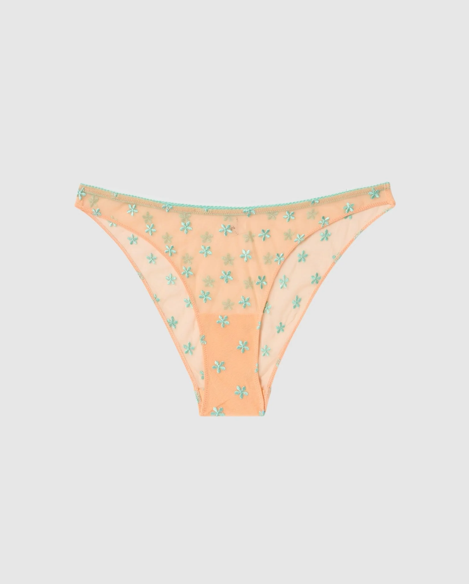 Mesh Bikini Briefs Peach/Turquoise - Image 2