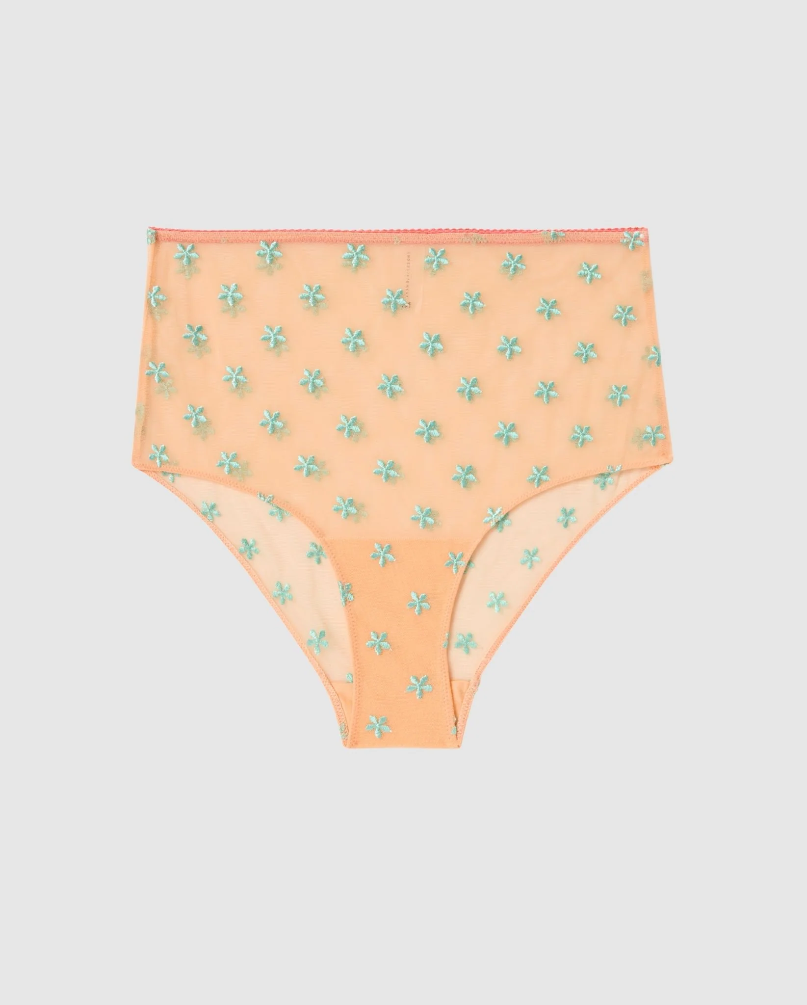 Mesh Highwaist Briefs Peach/Turquoise - Image 2