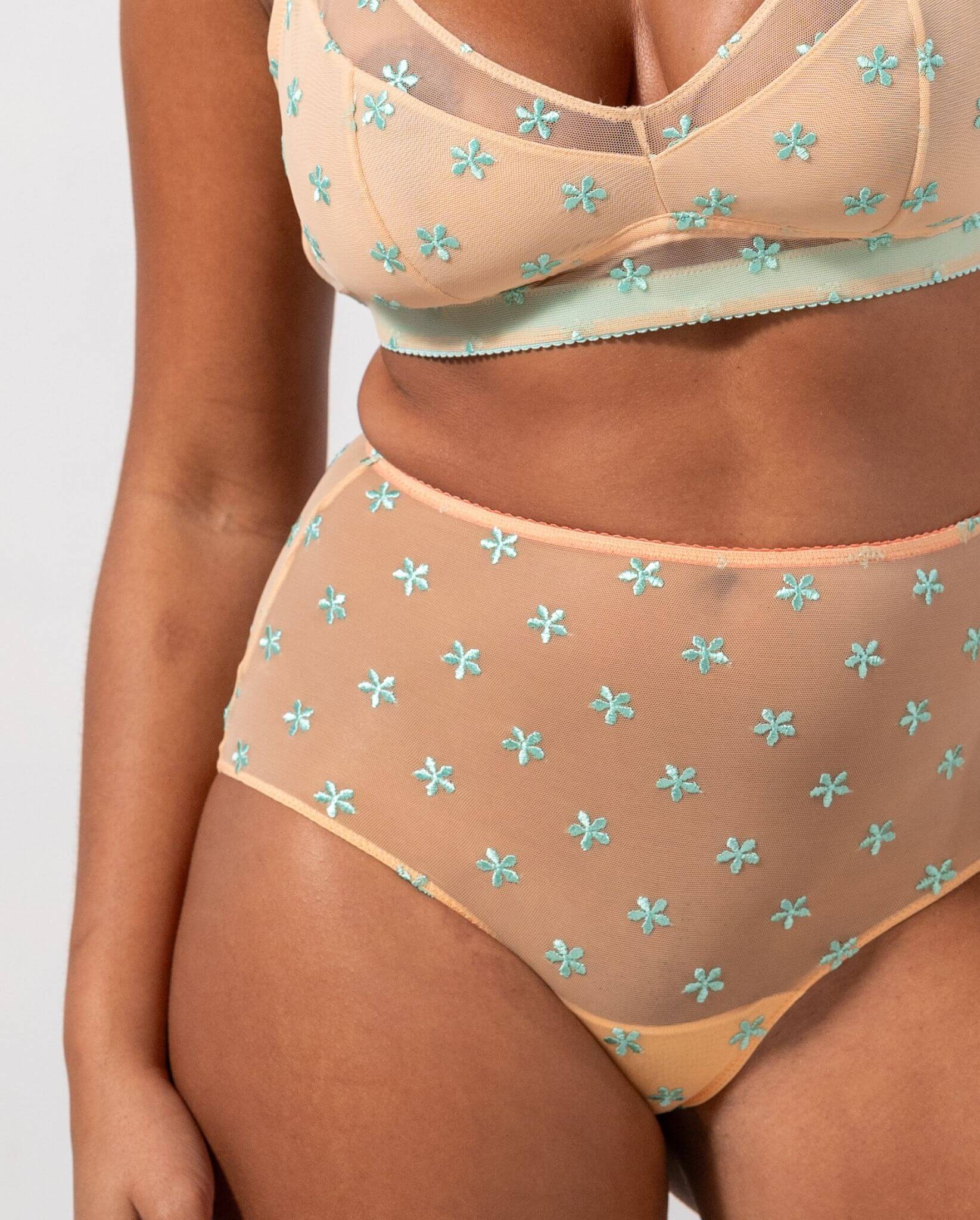 Mesh Highwaist Briefs Peach/Turquoise - Image 5